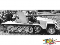 Sfl. 8,8-cm-PaK 43 L/71 auf Fahrgestell Sd.Kfz. 251 Mittlerer Schützenpanzerwagen